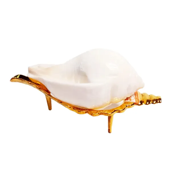 MAYAPURI_White_Jal_Shank_with_Stand_for_Pooja_Sacred_Puja_Conch_Shell_with_Elegant_Holding_Stand_for_Spiritual_Rituals