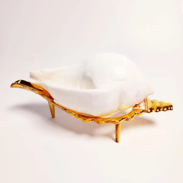 MAYAPURI_White_Jal_Shank_with_Stand_for_Pooja_Sacred_Puja_Conch_Shell_with_Elegant_Holding_Stand_for_Spiritual_Rituals