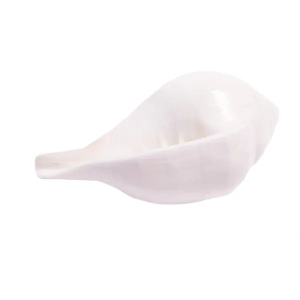 MAYAPURI_White_Jal_Shank_with_Stand_for_Pooja_Sacred_Puja_Conch_Shell_with_Elegant_Holding_Stand_for_Spiritual_Rituals