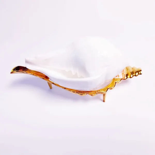 MAYAPURI_White_Jal_Shank_with_Stand_for_Pooja_Sacred_Puja_Conch_Shell_with_Elegant_Holding_Stand_for_Spiritual_Rituals