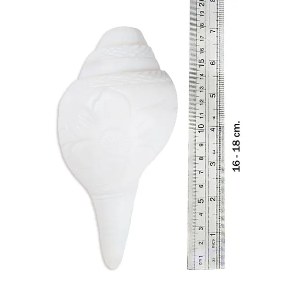 MAYAPURI_White_Vamavarti_Shank_|_Intricately_Engraved_Loud_Blowing_Sacred_Conch_for_Pooja_|_Powerful_Bajane_Wala_Shankh,_16-18_CM