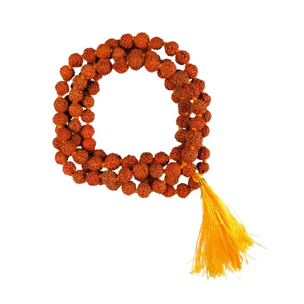 5_Mukhi_Rudhraksha_Mala_108+1_beads_Lab_certified