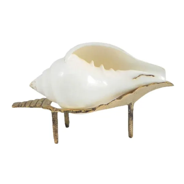 MAYAPURI_White_Natural_Non-Blowing_Jal_Shank_with_Brass_Stand_|_Original_Pani_Wala_Conch_for_Pooja_&_Aarti
