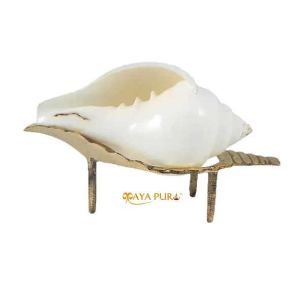 MAYAPURI_White_Natural_Non-Blowing_Jal_Shank_with_Brass_Stand_|_Original_Pani_Wala_Conch_for_Pooja_&_Aarti