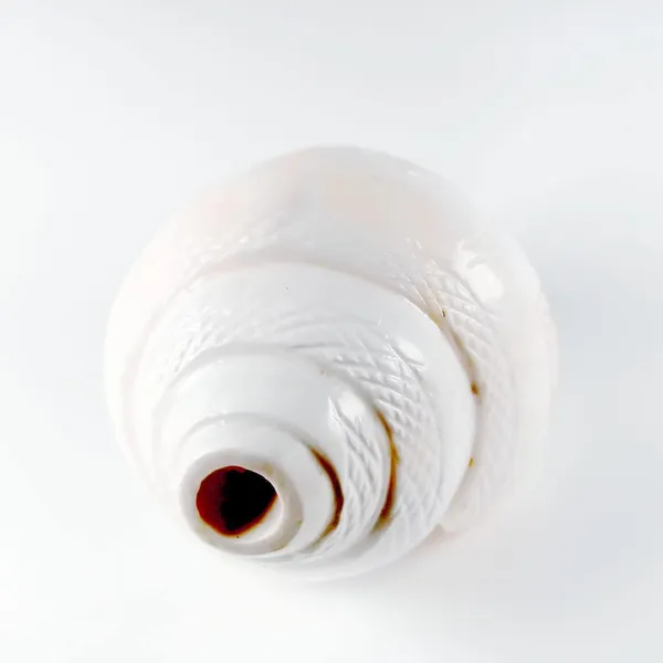 MAYAPURI_White_Loud_Blowing_Shank_|_Sacred_6-Inch_Pooja_Conch_for_Powerful_Sound_|_Perfect_Bajane_Wala_Shankh_for_Auspicious_Rituals