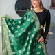 Bottle green__BINNI