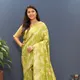 P_green__Royal Rajgharana Sarees