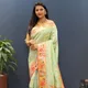 Pista__Royal Rajgharana Sarees