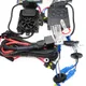H8/H11/H16 300 watts 6000 Kelvin__C S Glare