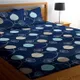 BLACK__Rakshitha Pet Care
