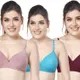 Mauve, Aqua, Wineberry__Worvox