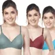 Olive, Maroon, Aqua__Worvox