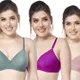 Olive, Purple, Mauve__Worvox