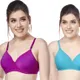 Purple, Aqua__Worvox