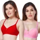 Red,Pink__Worvox