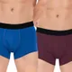 Blue-Maroon__Worvox