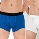 Blue-White__Worvox