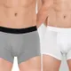 Grey-White__Worvox