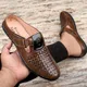 Brown__Royal Cruzz (Shiv Enterprises)