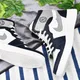 Navy__Royal Cruzz (Shiv Enterprises)