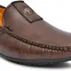 Brown__Royal Cruzz (Shiv Enterprises)