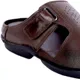 Brown__Royal Cruzz (Shiv Enterprises)