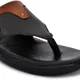 Black__Royal Cruzz (Shiv Enterprises)