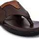Brown__Royal Cruzz (Shiv Enterprises)