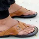 Tan__Royal Cruzz (Shiv Enterprises)