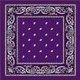 Purple__Navkar Crafts