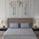 light blue__Patricko