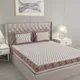 Maroon__Patricko
