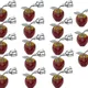 (Pack of 18)__Growinx