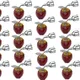 (Pack of 20)__Growinx