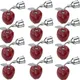 (Pack of 12)__Growinx