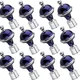 (Pack of 12)__Growinx