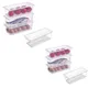 Pack of 6__Divine Brother's