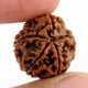 5 Face__BRIJ HAAT