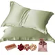 Sage Green__Print pillow / RIDDDHI CREATION