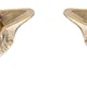 Gold__Samy Collectibles curated with love  