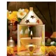 Gold__Samy Collectibles curated with love  