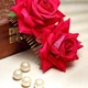 Pink__Vogue Hair Accessories