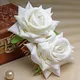 White__Vogue Hair Accessories