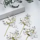 White__Vogue Hair Accessories