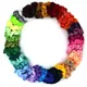 Multicolor__NANDITA