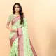 Parootgreen__OFLINE SELECTION