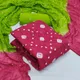 Pink and Light Green__Mahalaxmi Fashion