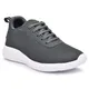 Grey__FERINO