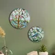 Multicolour__Homspurts