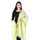 Parrot_Green